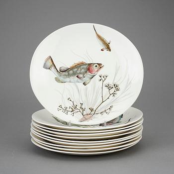 TALLRIKAR, 10 delar, porslin, "Fish", Johnson Bros, England.