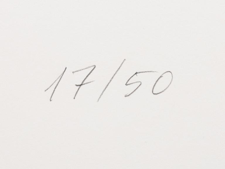 Raul Meel, "Windows and Landscape 3".