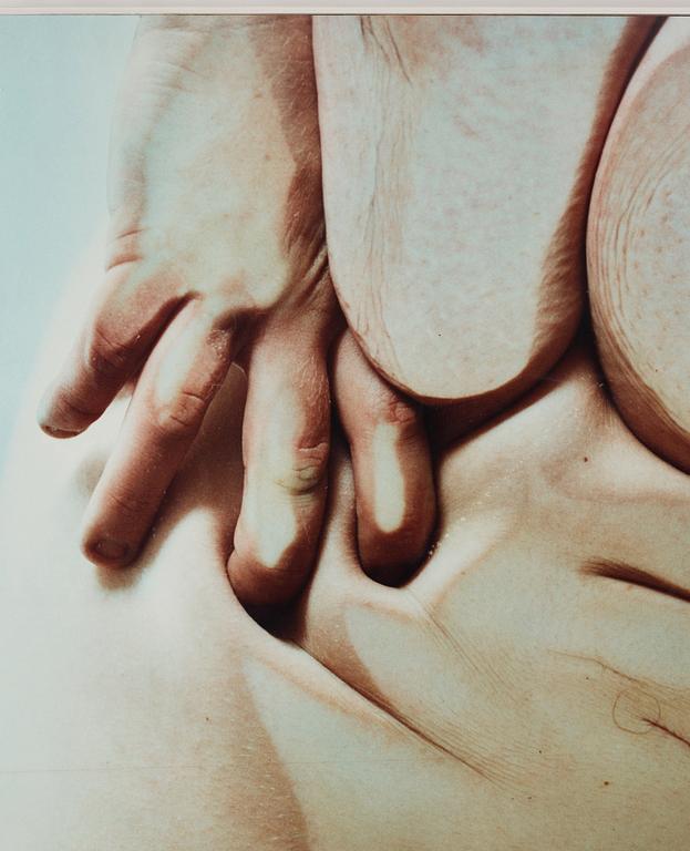 Jenny Saville, "Closed Contact", 1996.