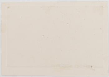 Vivi Tolli, "Muster”.