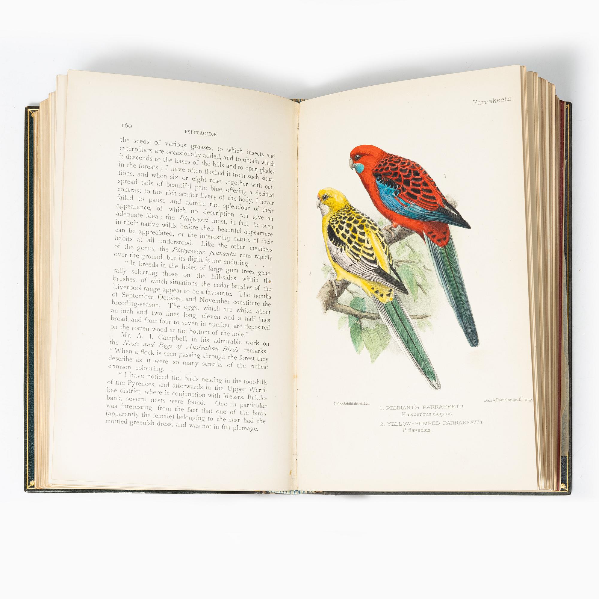 With 20 hand-coloured plates of Parrakeets.
