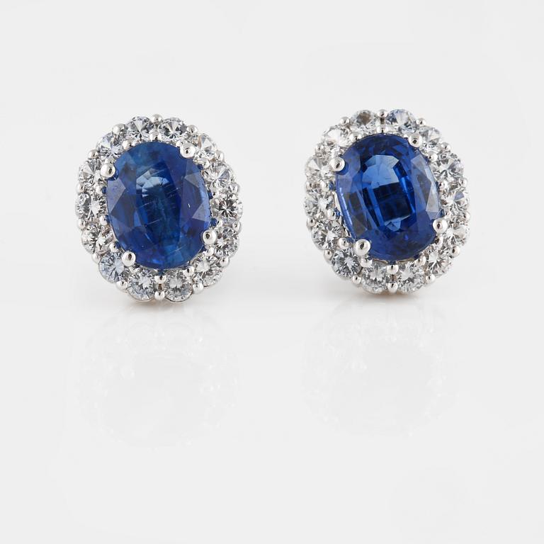 ÖRHÄNGEN, 14K vitguld med ovalslipade kyaniter ca 4.80 ct samt briljantslipade safirer ca 1.25 ct. Vikt 5,1 gram.