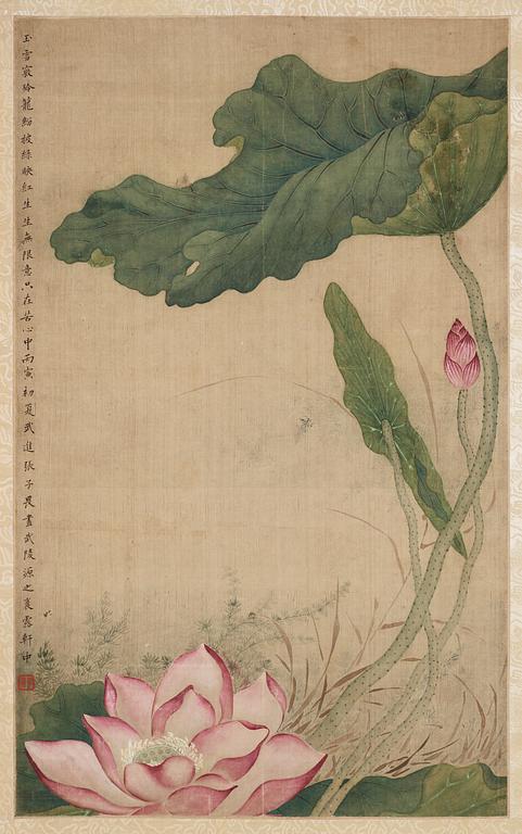 A hanging scroll of a lotus flower, Qing dynasty.