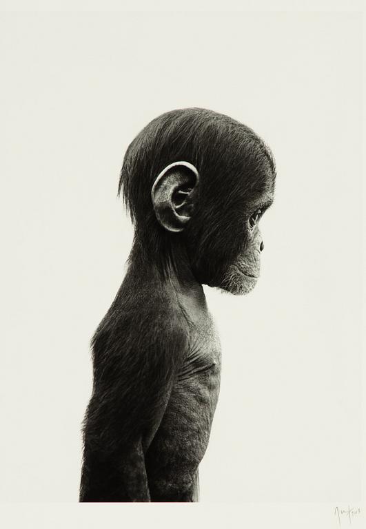 Ulf Rollof, pigment print, signerad och daterad 2013. Ed 003/100.