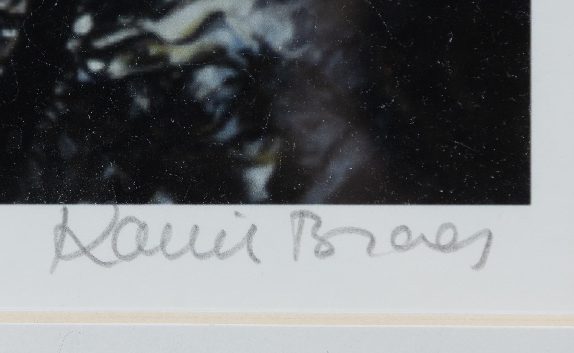 Karin Broos, "Tjärn 3".