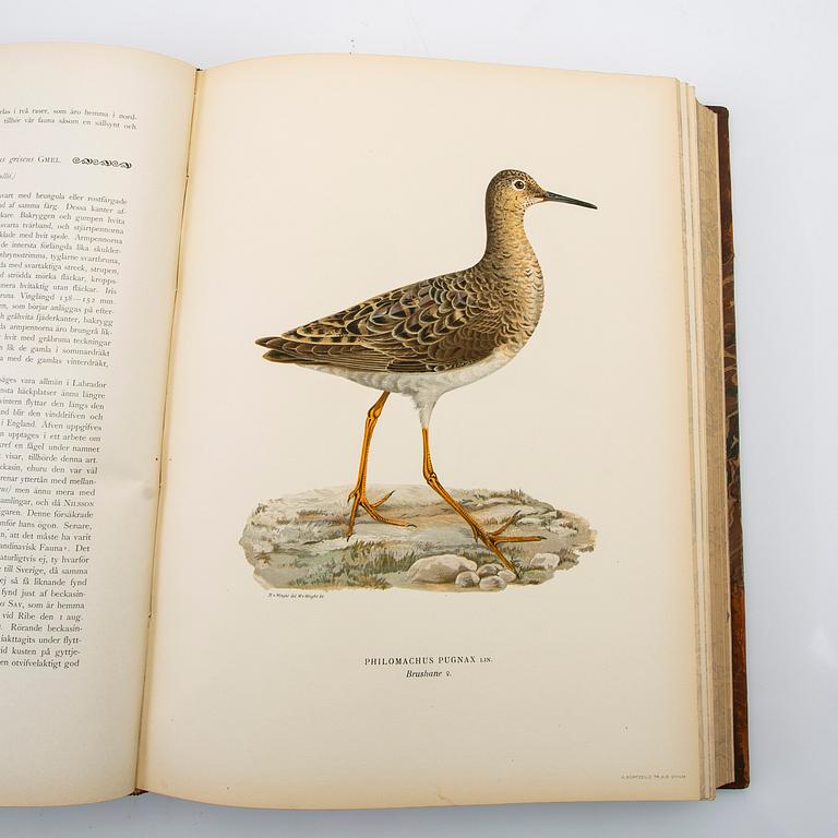 The Wright Brothers, book work, 3 volumes, "Swedish Birds", A. Börtzells tryckeri AB, Ivar Baarsen, Stockholm, 1924-1929.