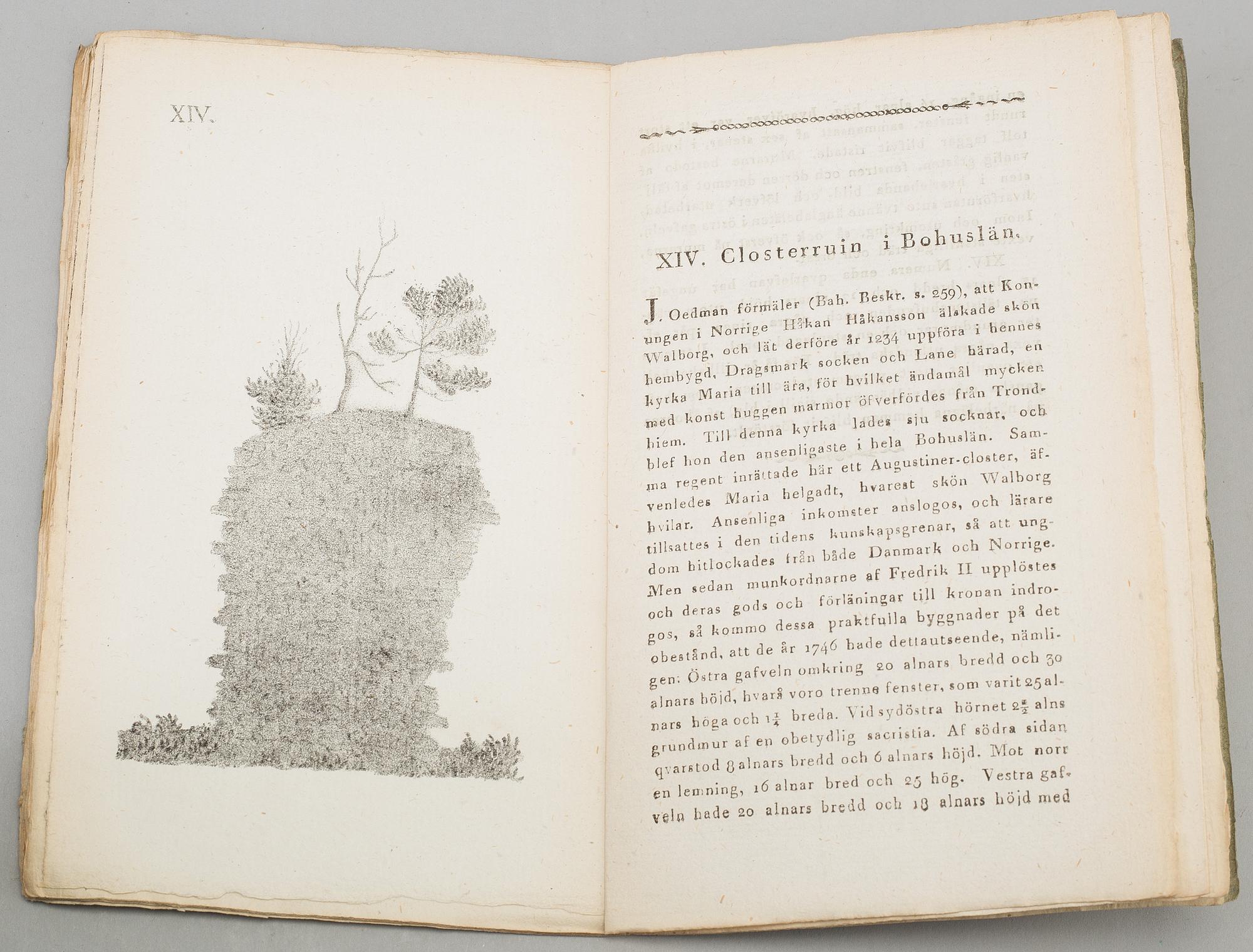 A book, J. G. Liljegren / C. G. Brunius: Nordiska fornlemningar. 1-2.