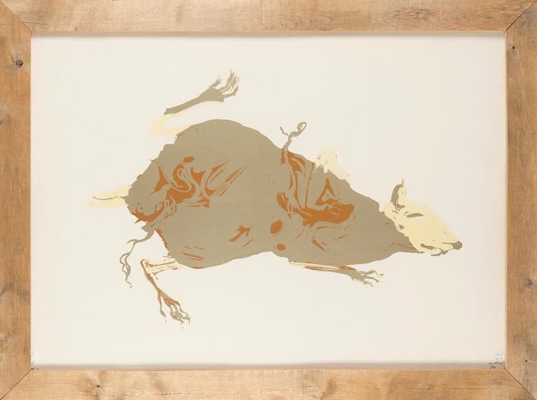 Marjatta Tapiola, Rodent.