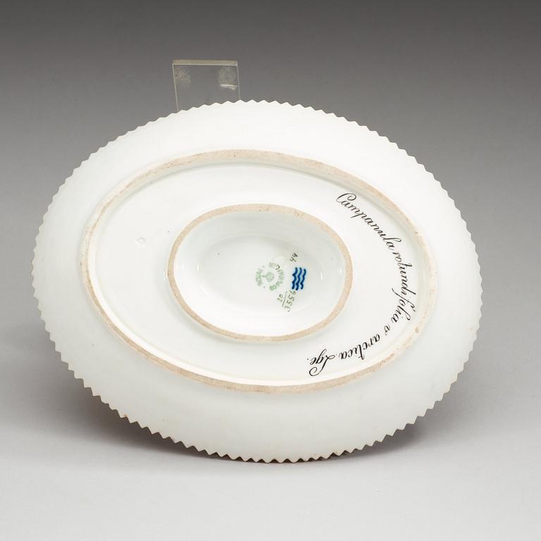 SÅSSNIPA, porslin. "Flora Danica", Kungl Dansk, 1900-tal.