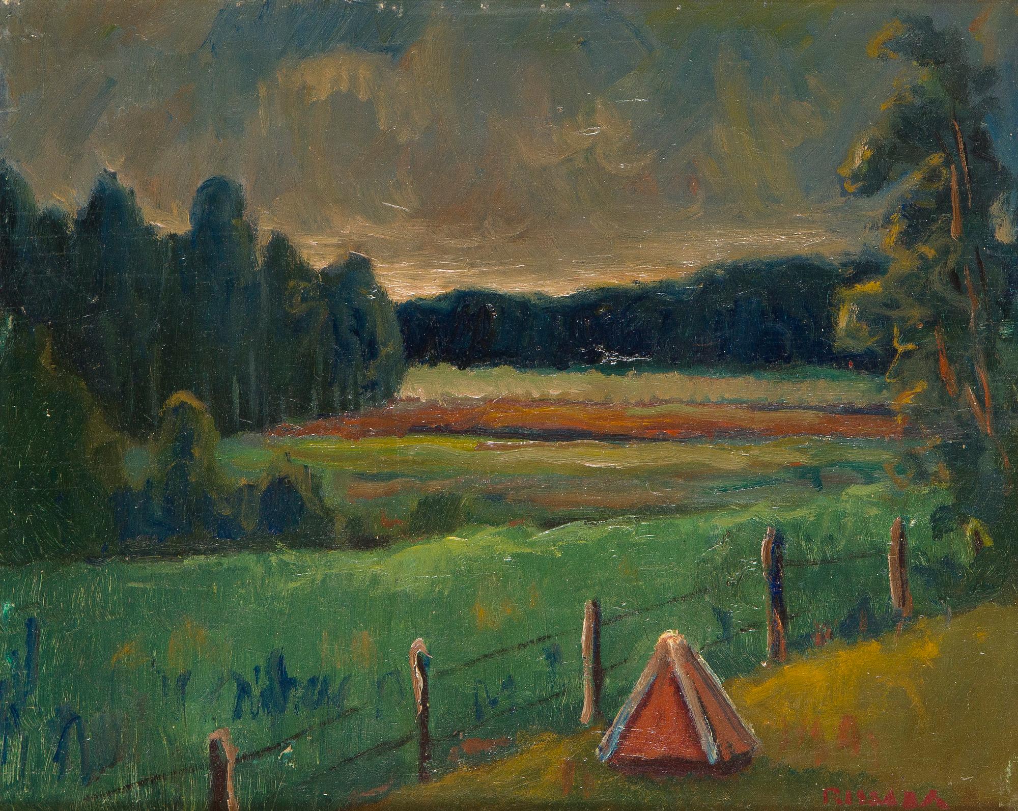 Kaapo Rissala, "Molnig dag".