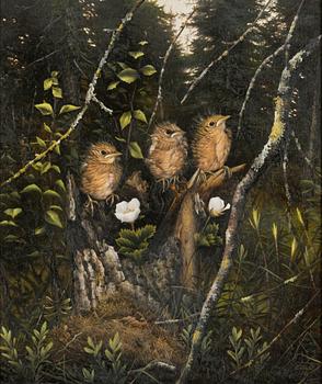 Teppo Terä, "Rödhake-ungarna".