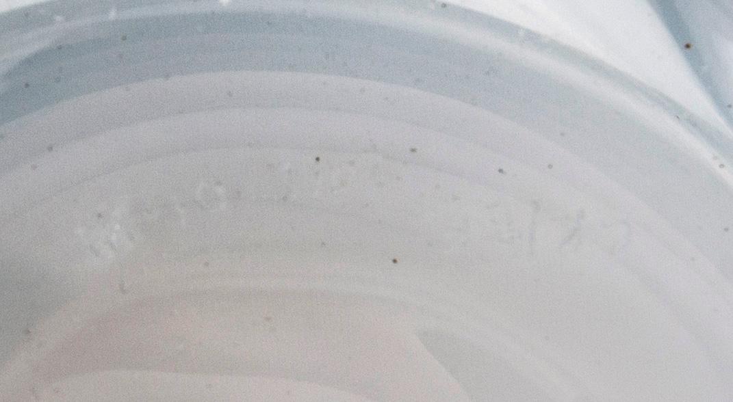 Signe Persson-Melin, a set of two signed "Vet Hut" glass bowls from Boda glasbruk 2011/12.