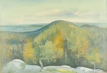 Eero Nelimarkka, Landskap från Koli.