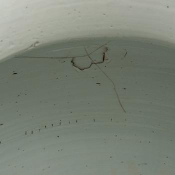 A large blue and white lotus jar with cover, Qing dynasty, Kangxi (1662-1722).