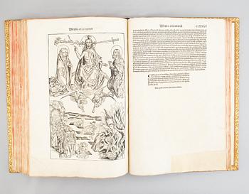 The Nuremberg Chronicle, 1493.