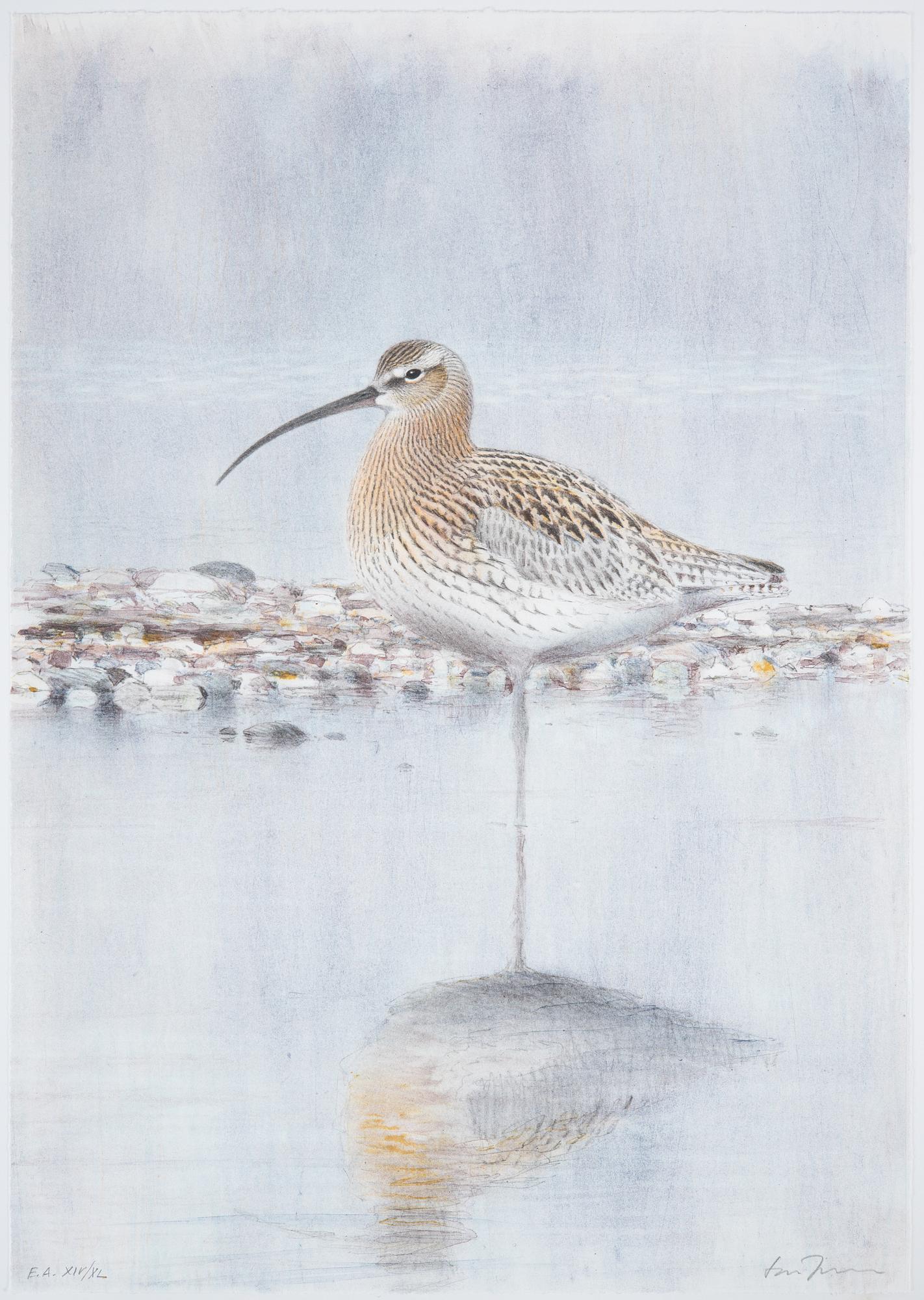 Lars Jonsson, portfolio "Strandspeglingar" with 5 lithographs in colour, signed EA XIV/XL.