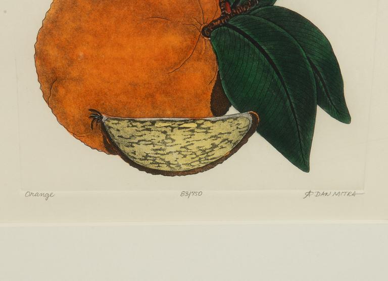 Dan Mitra, a suite of six etchings, framed together.
