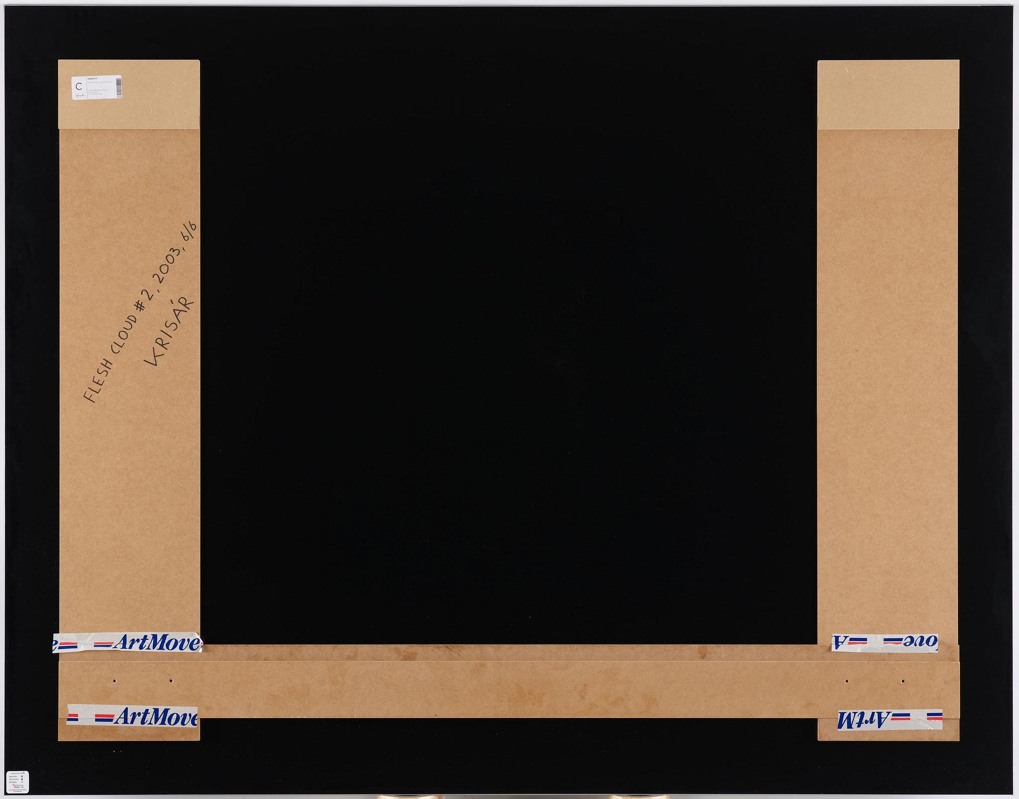 Anders Krisár, "Flesh Cloud #2", 2003.