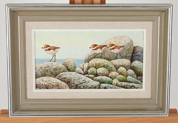 REIMA NURMIKKO, olja på duk, uppfodrad på kartong, signerad och daterad -83.