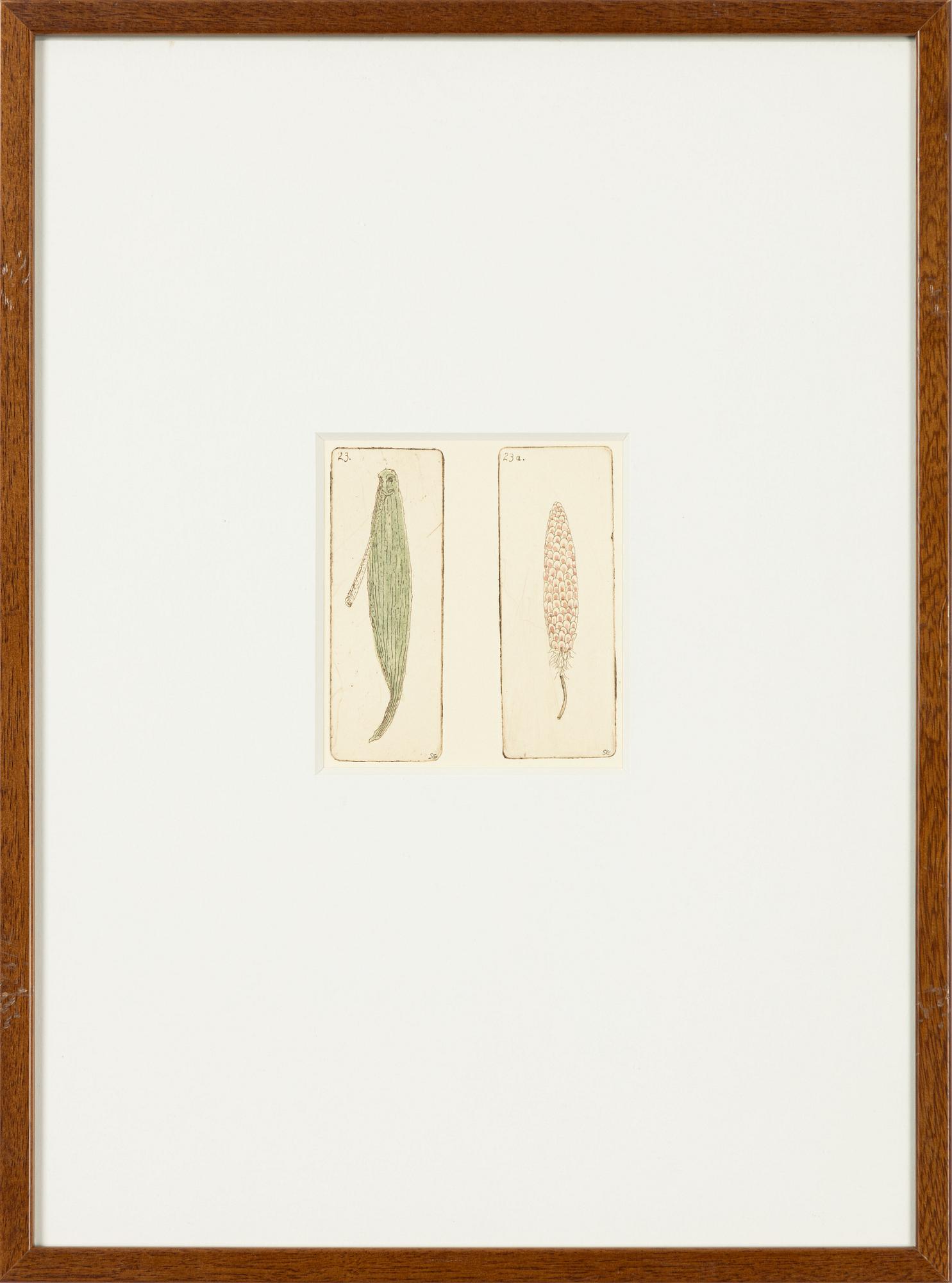 Sten Eklund, "Frukt vid buske odlad vid nr 4" From "Kullahusets hemlighet".