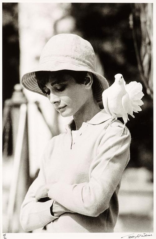 Terry O'Neill, "Audrey Hepburn with dove, St Tropez, 1967".