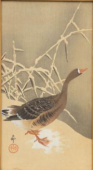 Ohara Koson, "Monkey in persimmon tree" och "Wild Goose in snow".