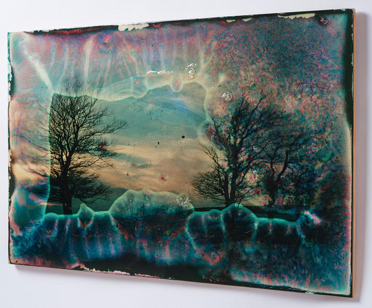 Wolfgang Ganter, "Untitled (Two Trees)".