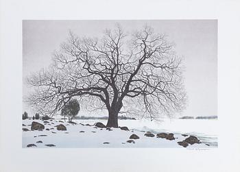 Reinhold Ljunggren, "Vinter", portfolio.