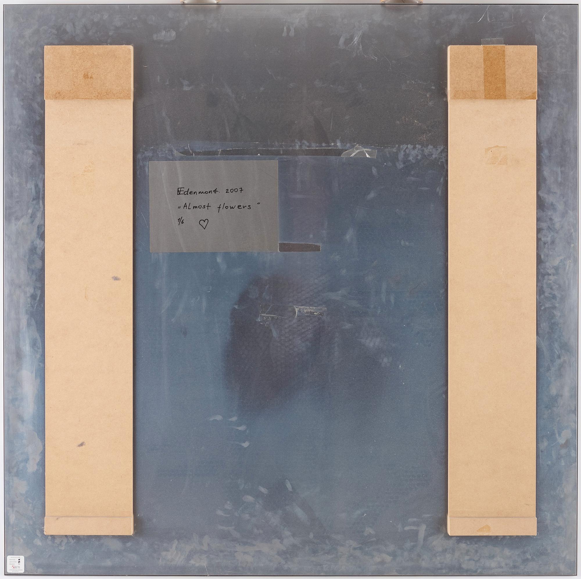 Nathalia Edenmont, "Almost Flowers", 2007.
