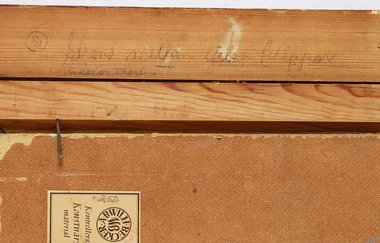 Esaias Thorén, "Strand mellan ljusa klippor".