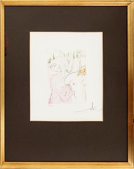 Salvador Dalí, "Le jument de compere Pierre" ur "Le Décameron".