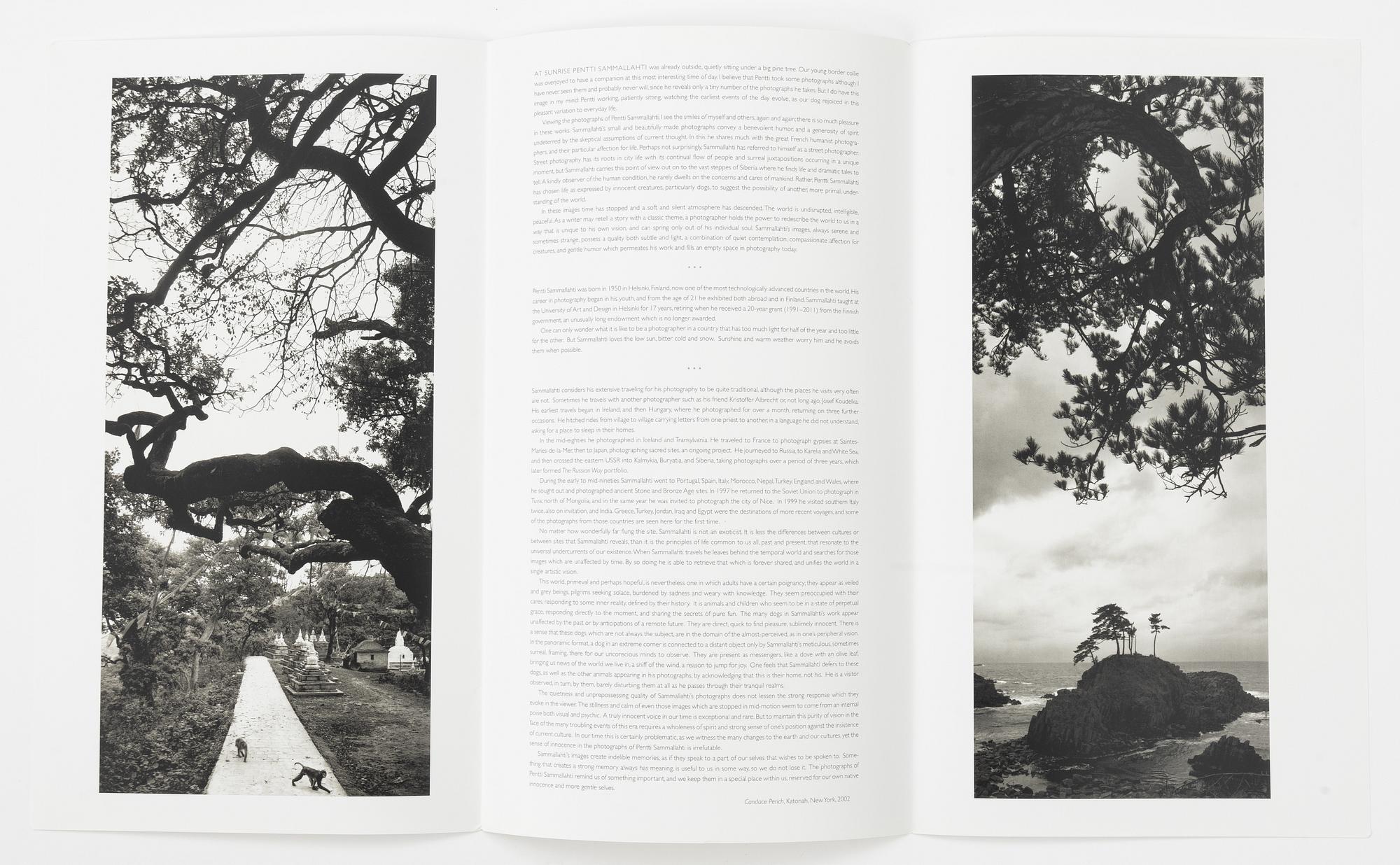 Pentti Sammallahti, "Sammallahti".