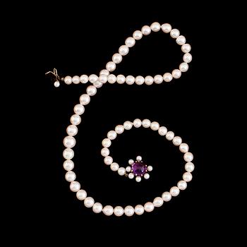 COLLIER, odlade pärlor, Stigbert, 1964, lås 18K guld med cabochonslipad ametist.