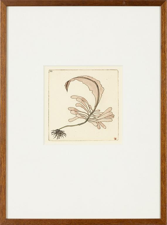 Sten Eklund,  "Alg." From "Kullahusets hemlighet".