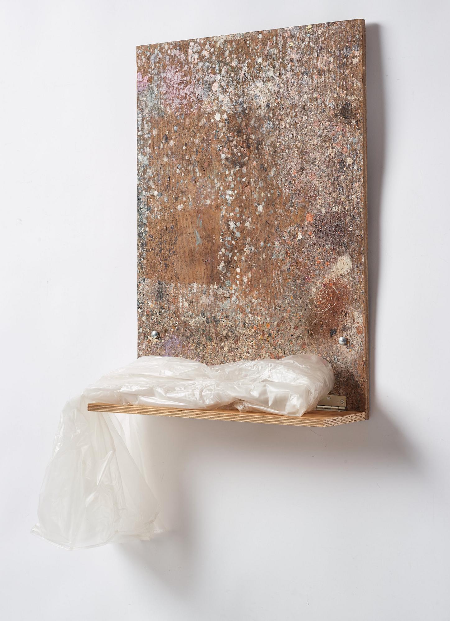 Fredrik Vaerslev, "Shelf Paintings (Dew Problems) #11".