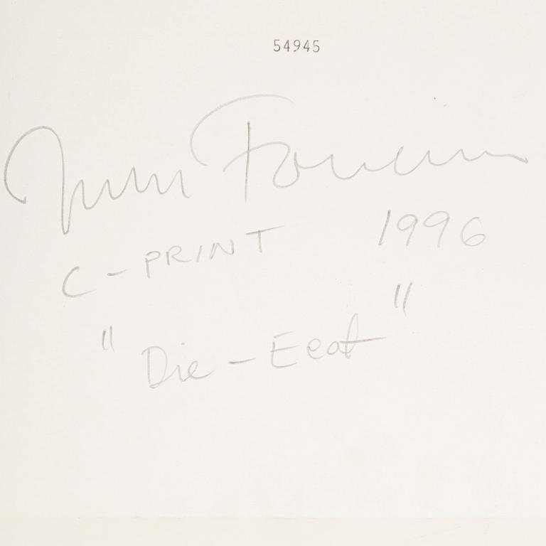 JOHAN FOWELIN, c-print, signed and dated 1996 verso.