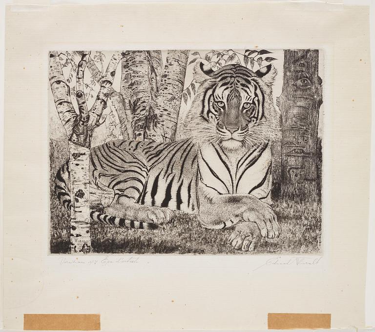 Eduard Wiiralt, "Reclining tiger" (Lamav tiiger).