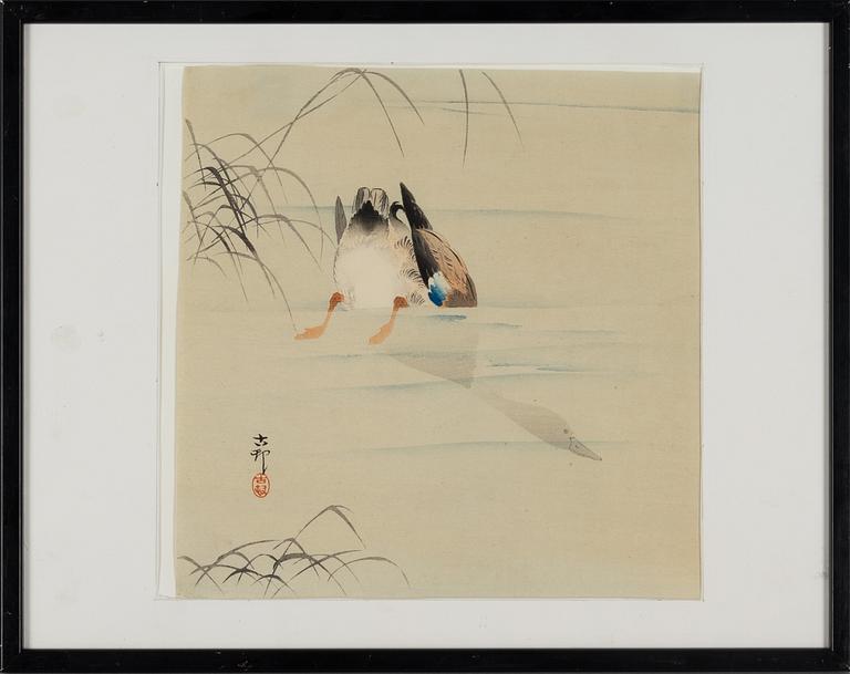 Ohara Koson, Diving mallard.
