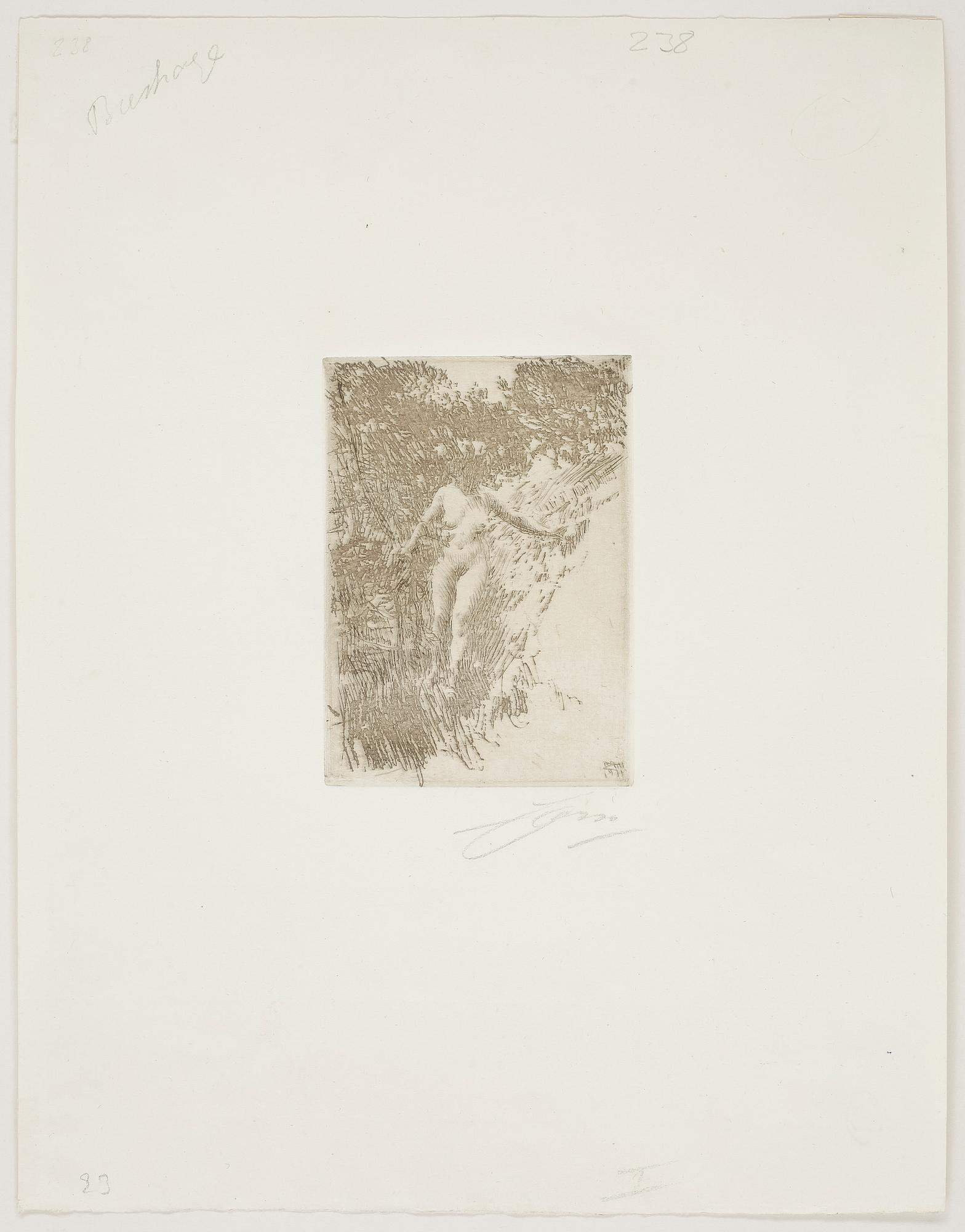 ANDERS ZORN, etsning, signerad med blyerts. Utförd 1911. Thorsten Laurins samlarstämpel.