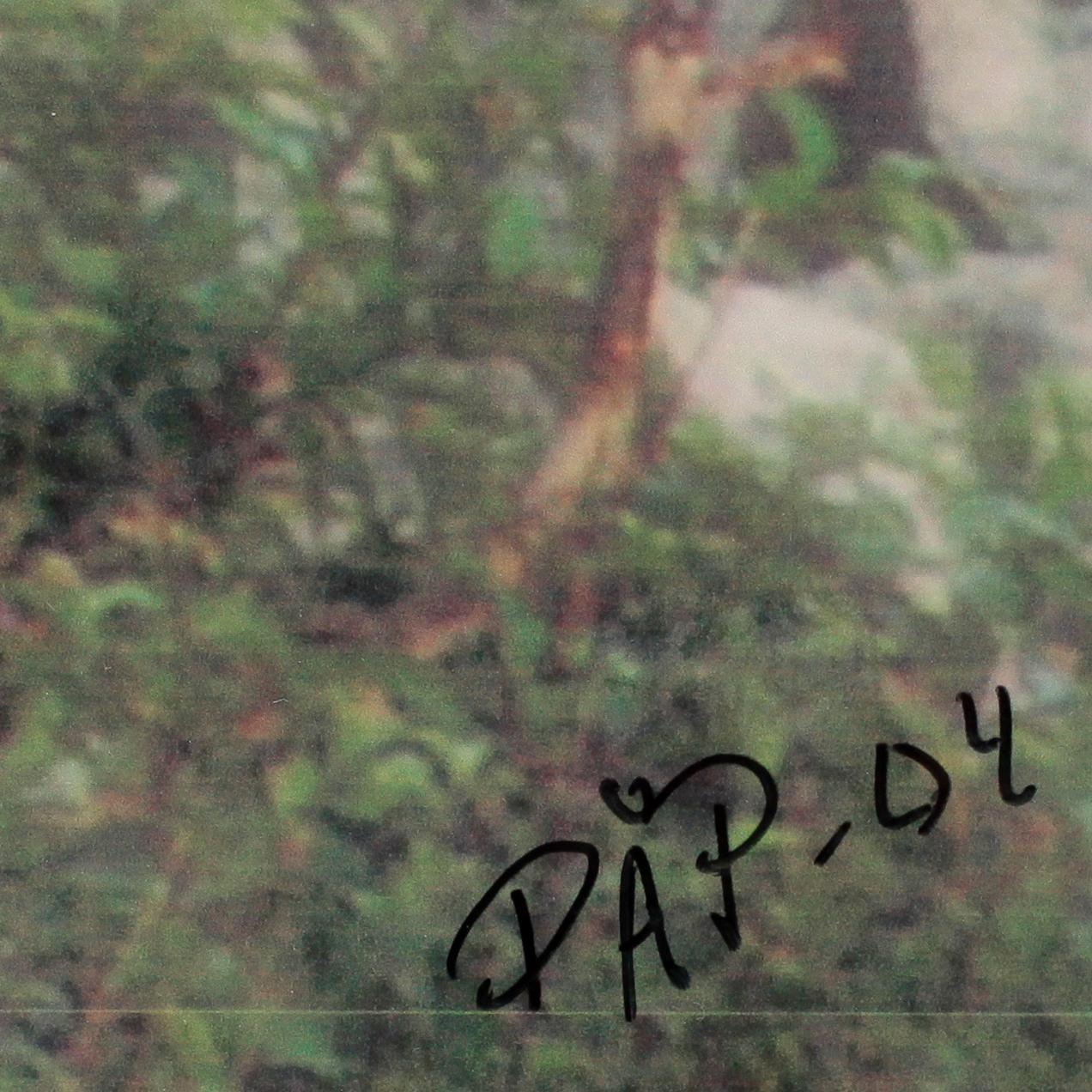 PER ÅKE PERSSON, fotografi, sign o dat.
