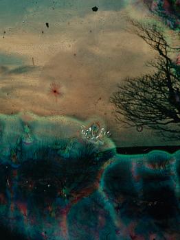 Wolfgang Ganter, "Untitled (Two Trees)".
