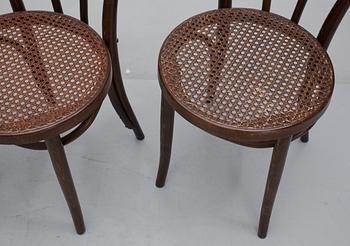 STOLAR, 4 st, Thonetstil, Rumänien, 1900-talets mitt.