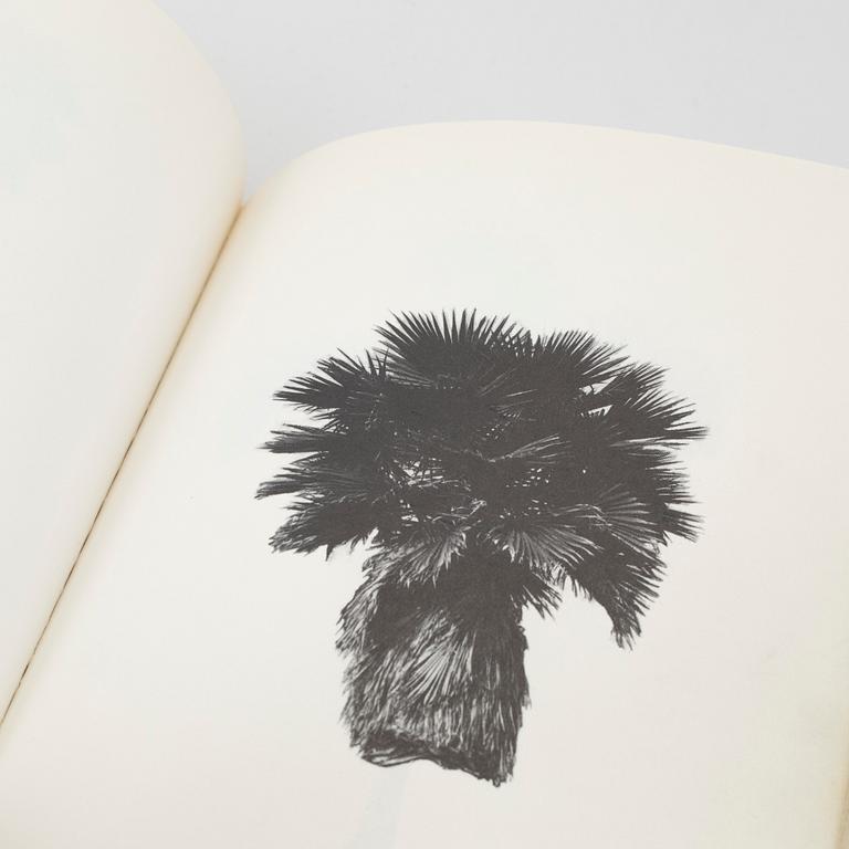 Edward Ruscha, "A few palm trees", 1971.