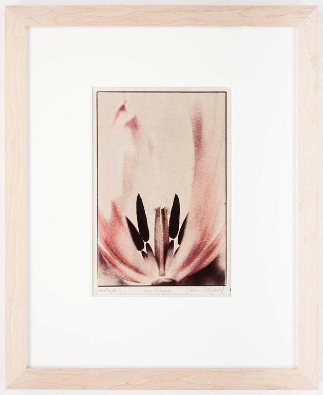 KARIN BERGLUND, Gummitryck, sign o numr 2/12.