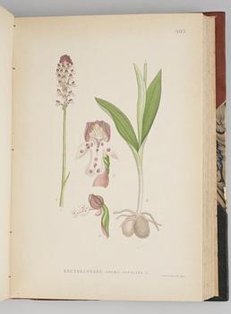 BÖCKER, 3 volymer C.A.M Lindman. "Bilder ur Nordens Flora". C. A. M. Lindman, Wahlström & Widstrand, Stockholm 1905.