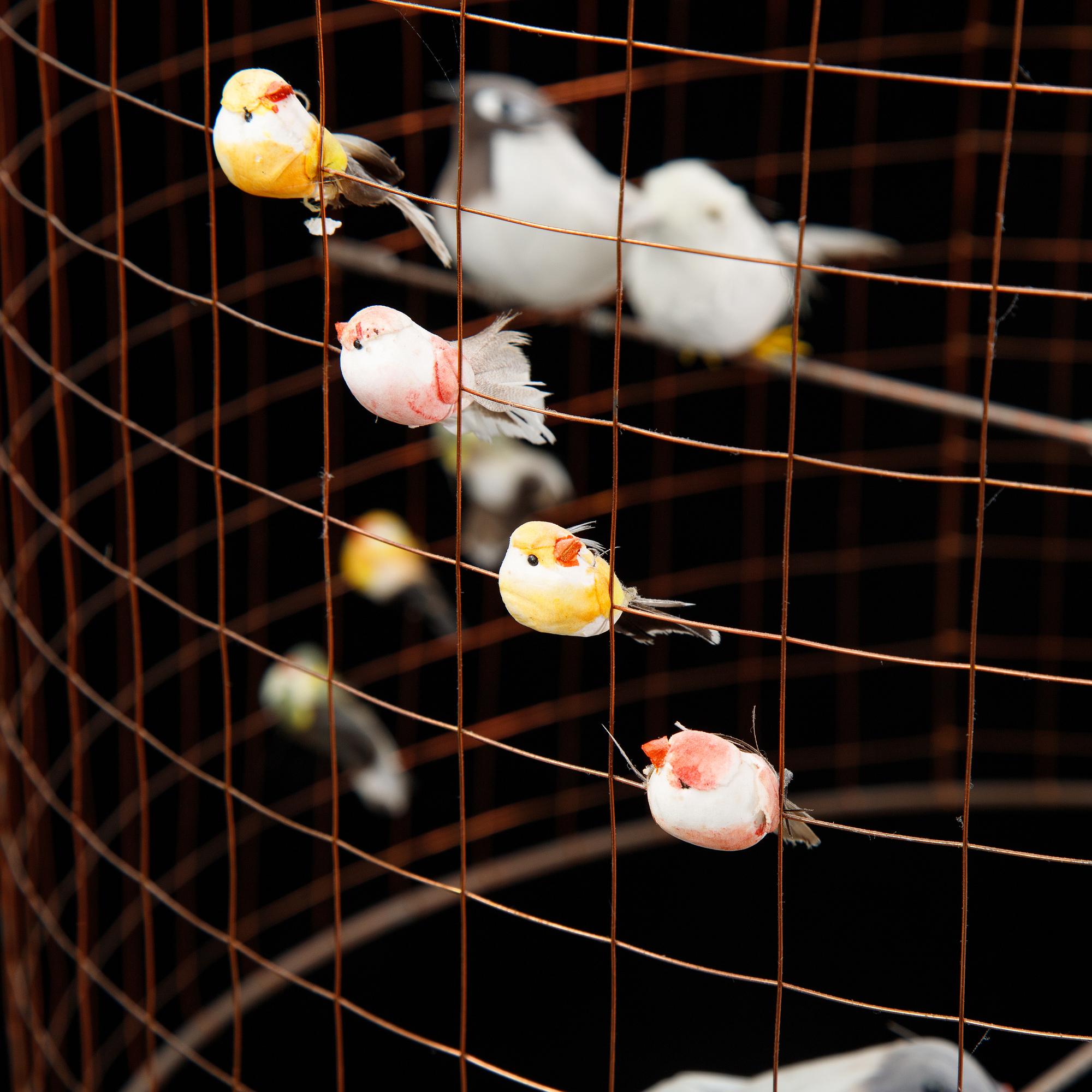 Mathieu Challieres, "Petite Volière" fågellampa/taklampa,