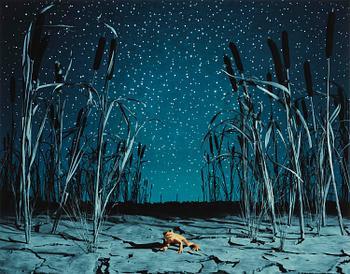 164. Helena Blomqvist, "Last Night for the Last Golden Frog", 2008.