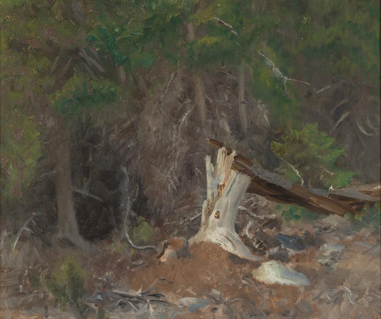 Bruno Liljefors, Forest Glade.