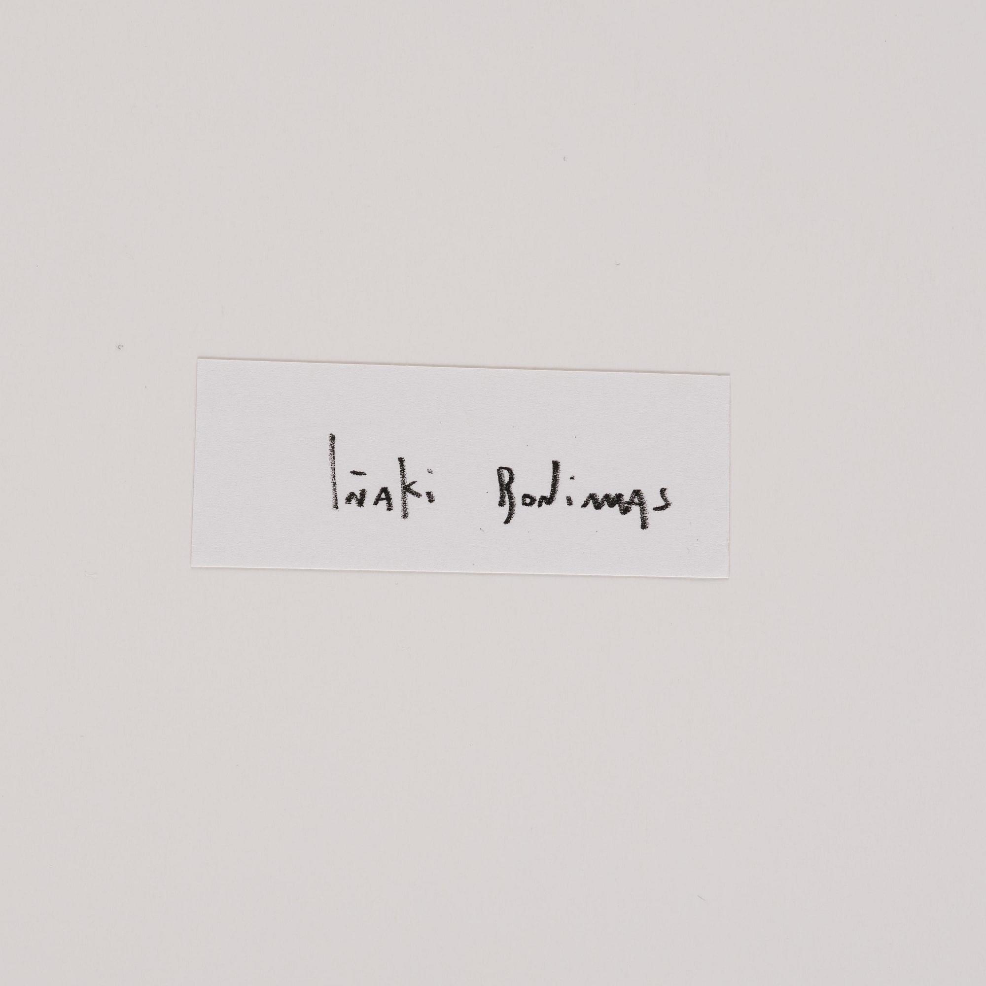 Iñaki Bonillas, "The Rain Came Last", 2013.