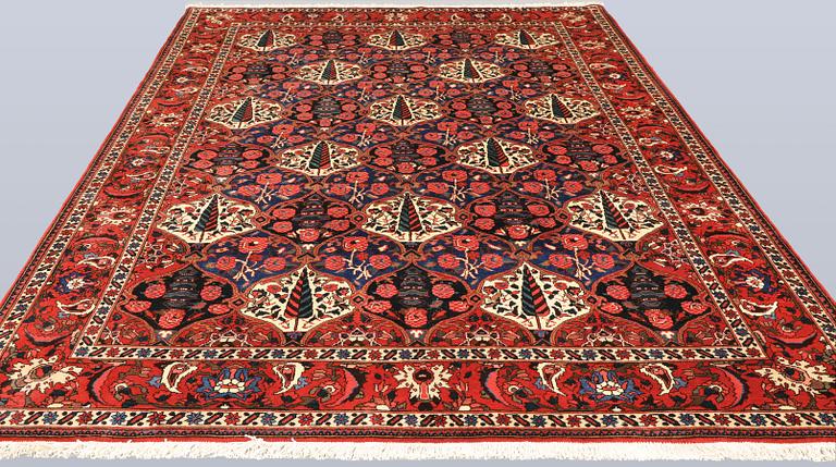 Matta, Baktiari, 300 x 212 cm.